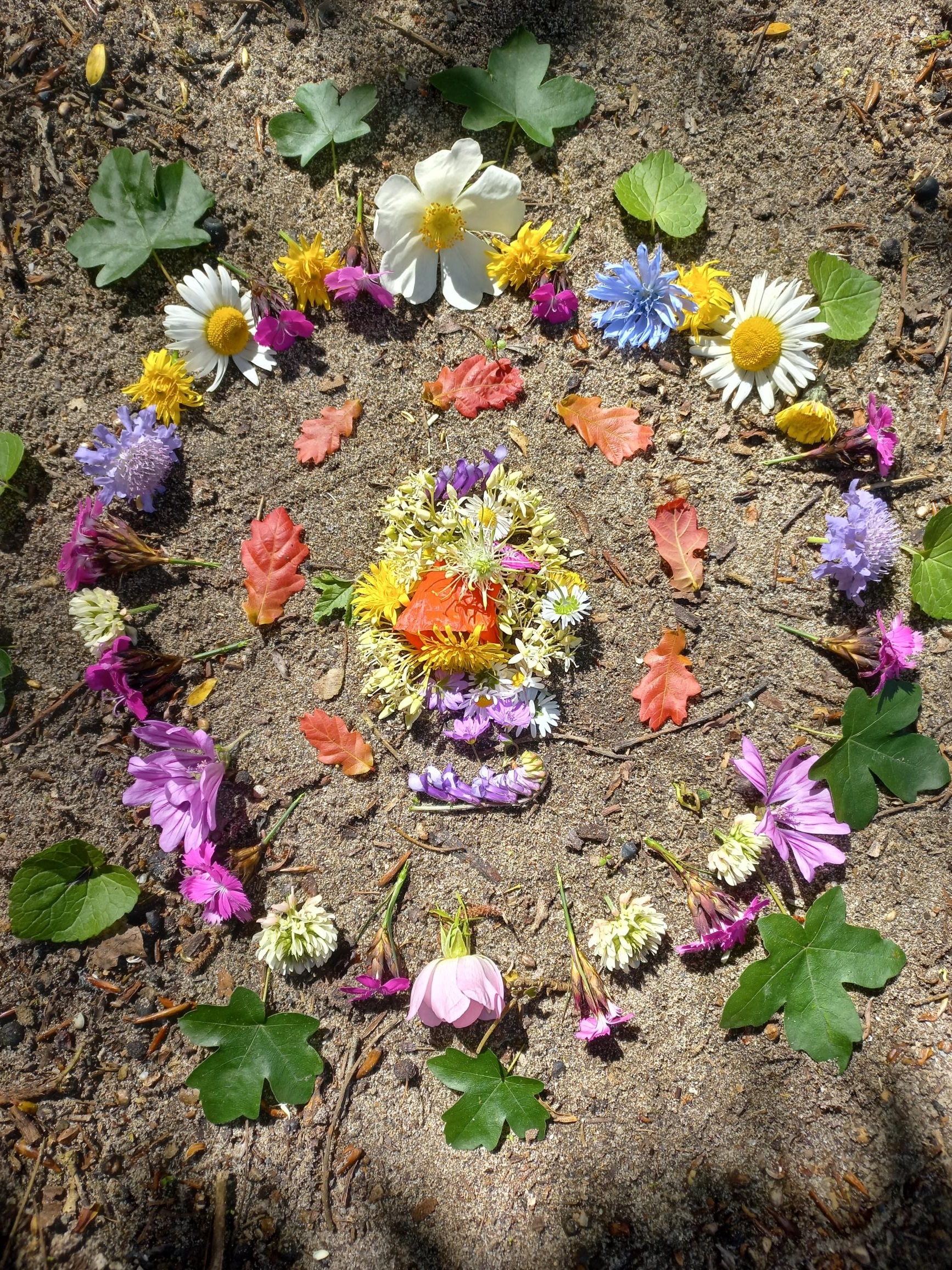 Naturmandala und Zenzeichnen